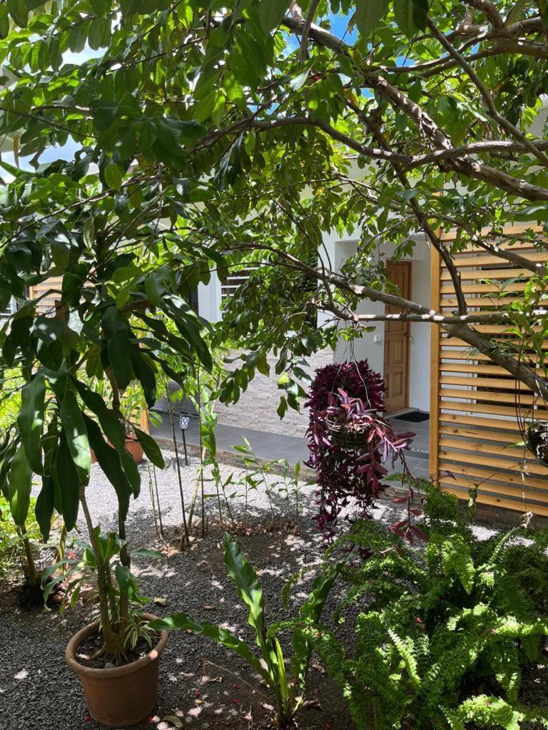 Pare Lodge Tahiti Pirae Dış mekan fotoğraf